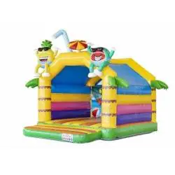 Location chateau gonflable Privas