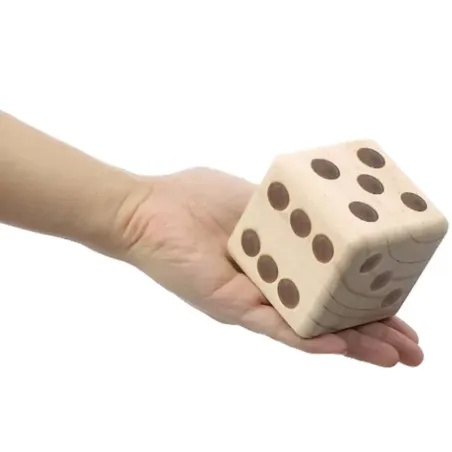 Cam's Animation|Chateau gonflable, jeux en bois et enfant