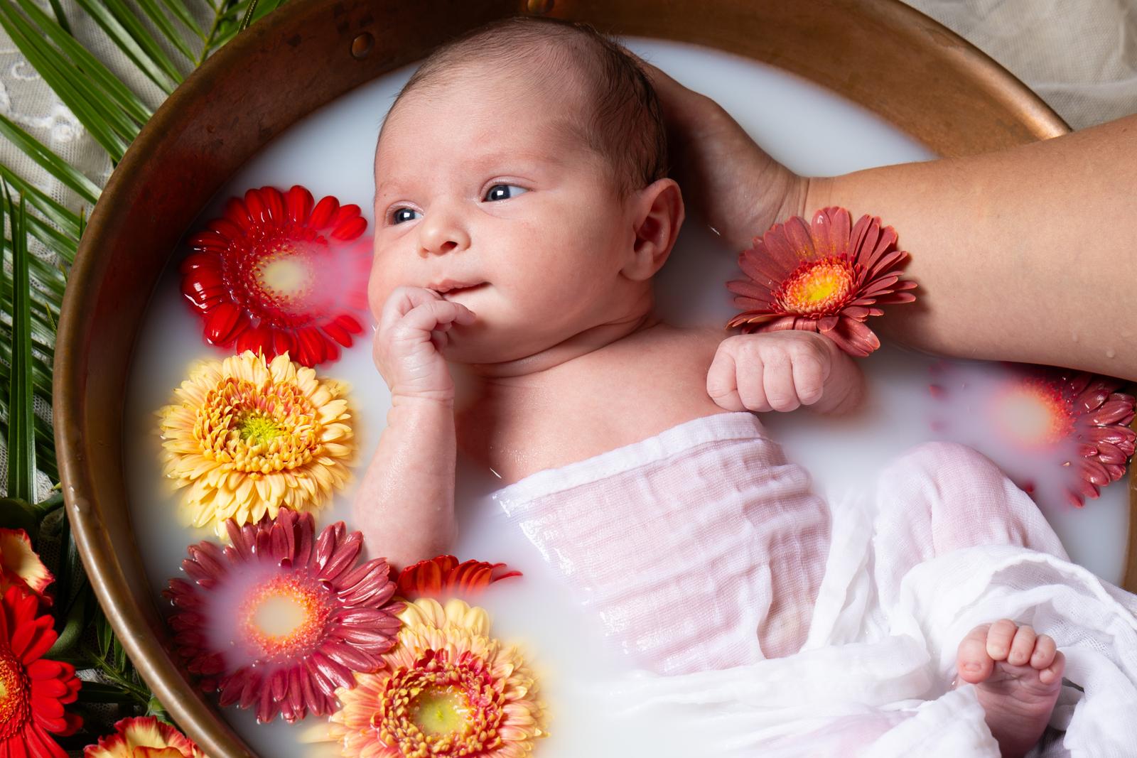 Photographe de naissance en Drôme Ardèche 