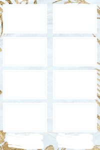 Anniv Feuille or bleu 4