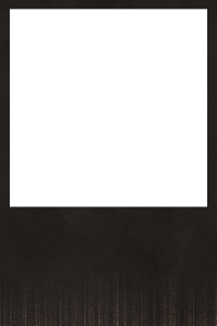 Anniv Noir poudre d'or 6