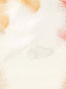 Anniv poudre couleur stick 8