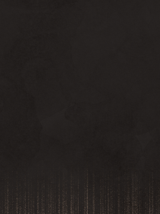 Anniv Noir poudre d'or ecran 2