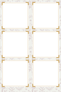 Anniv vintage violet 2